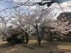 舞子六神社の自然