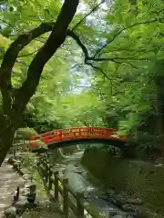 北野天満宮(京都府)