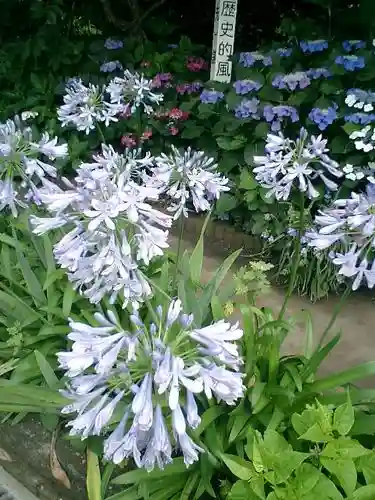 御霊神社の自然