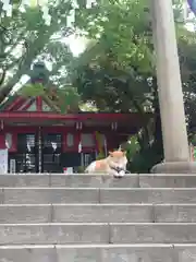 笠䅣稲荷神社(神奈川県)