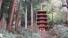 室生寺の塔