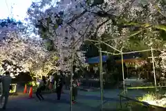 平野神社の庭園