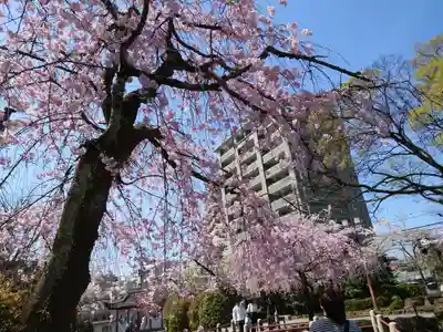 岐阜護國神社(岐阜県)