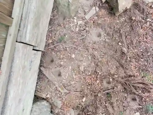 皆沢八幡宮本殿(群馬県)