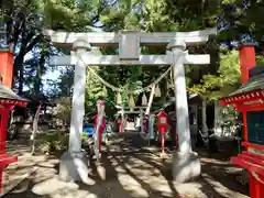 開運招福 飯玉神社(群馬県)