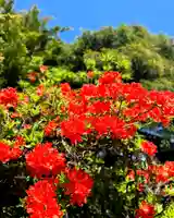 伊達神社(北海道)