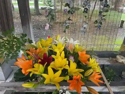 彌彦神社　(伊夜日子神社)の手水舎