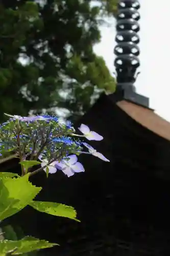 国宝 大法寺の自然