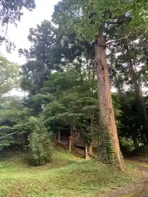 天神社(千葉県)