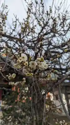 北野天満宮(京都府)