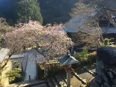 善峯寺のその他建物