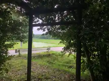 神社(名称不明)の鳥居