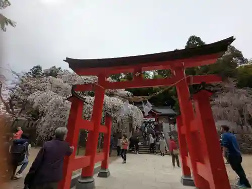 小川諏訪神社の鳥居
