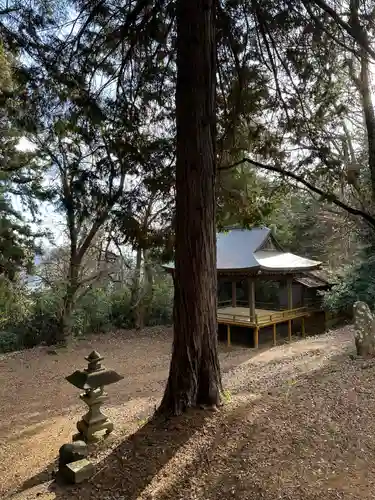 新府藤武神社(山梨県)