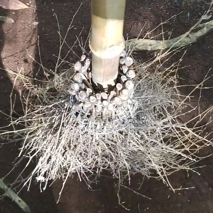 沼尾神社(茨城県)