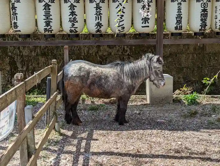 大石神社の動物
