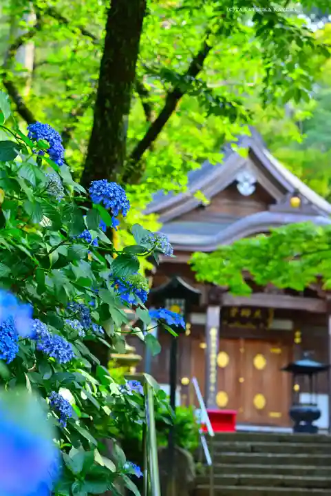 高幡不動尊 金剛寺(東京都)