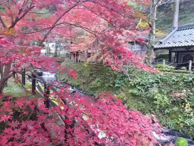 永平寺(福井県)