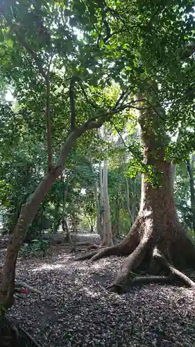 七所神社の自然