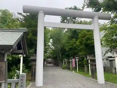 新琴似神社(北海道)