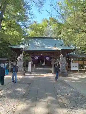 野木神社の本殿・本堂