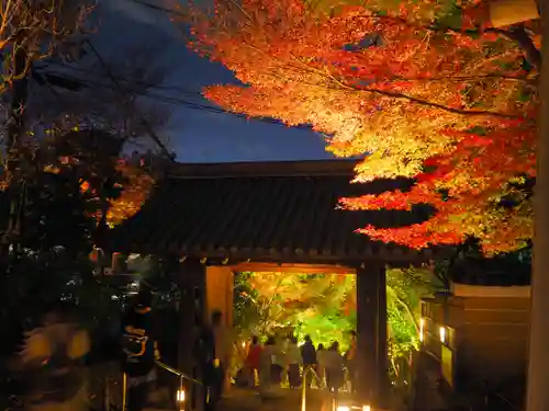 高台寺（高台寿聖禅寺・高臺寺）の景色