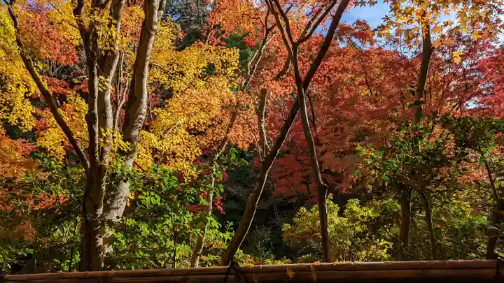 来迎院(京都府)