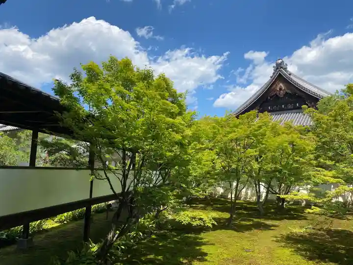 妙覺寺(妙覚寺)(京都府)