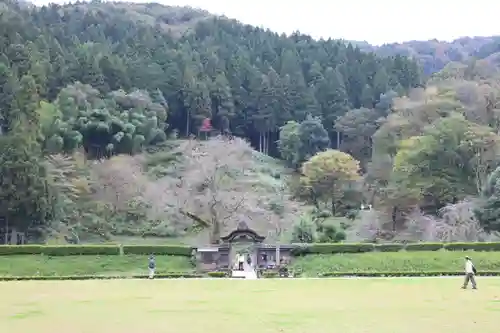 朝倉神社(福井県)
