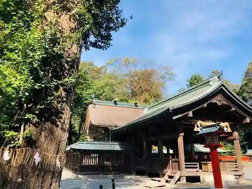 宗像大社中津宮の自然