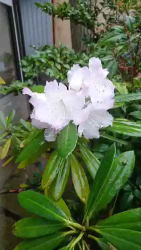阿邪訶根神社の自然