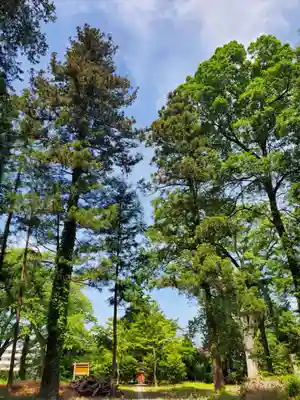 神炊館神社 ⁂奥州須賀川総鎮守⁂(福島県)