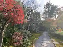 養徳院(京都府)