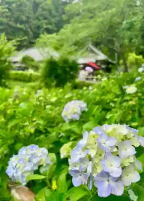 極楽寺(静岡県)