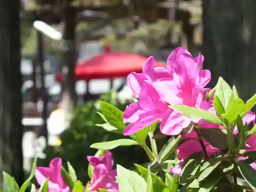 立木神社の自然