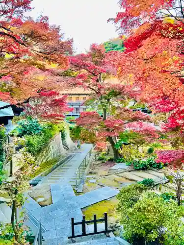 龍峰院(神奈川県)