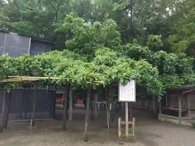 宗像大社(福岡県)