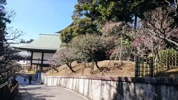 成田山新勝寺(千葉県)