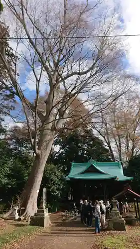 酒門神社の本殿・本堂