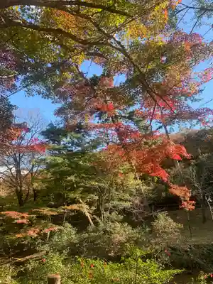 養老神社(岐阜県)