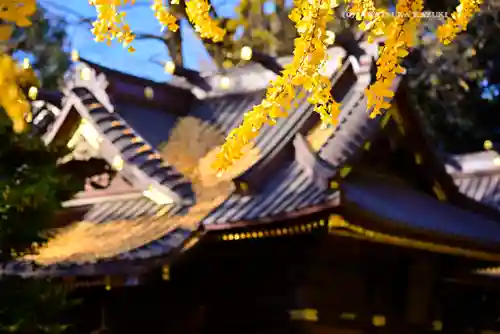 玉敷神社(埼玉県)