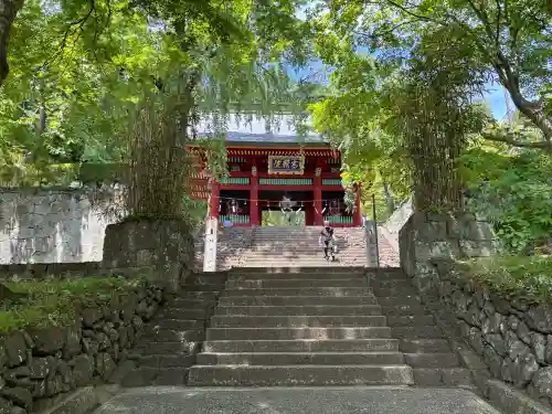 妙義神社(群馬県)