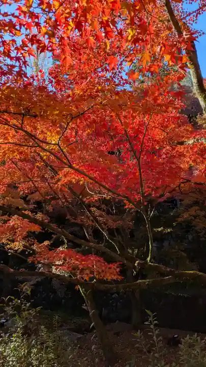 東福禅寺(東福寺)(京都府)