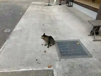 所澤神明社(埼玉県)