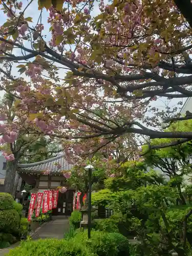 東光寺別院桜ヶ池不動院(東京都)