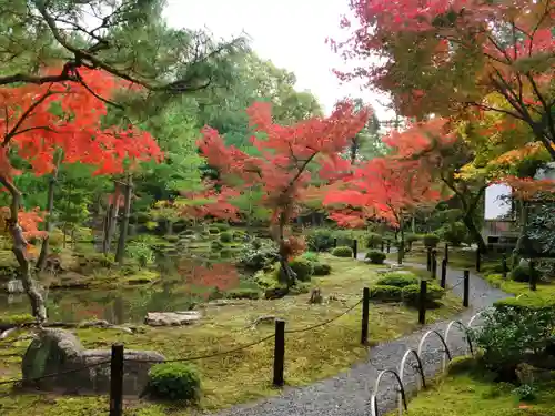 等持院の庭園