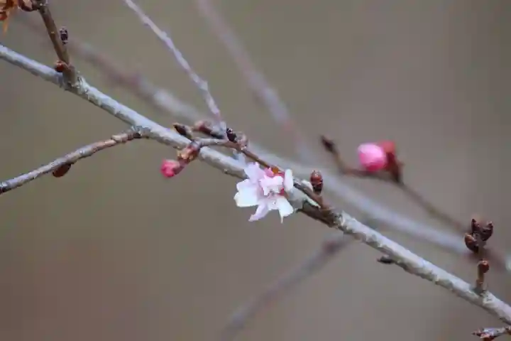 国宝 大法寺(長野県)