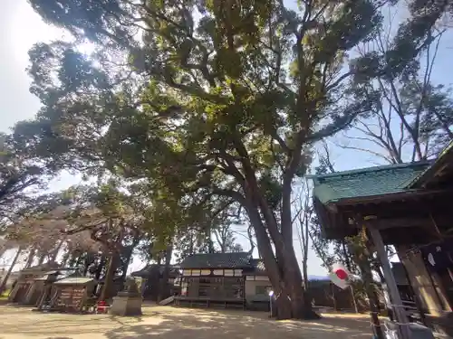 三島八幡神社の庭園