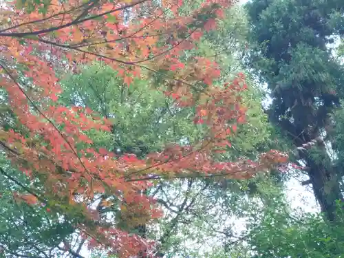 舞岡八幡宮(神奈川県)