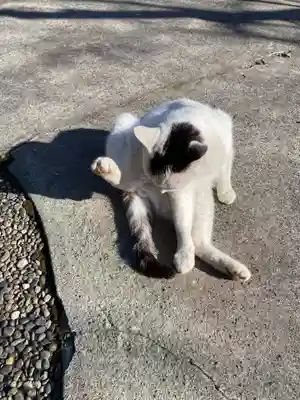 真野寺(千葉県)